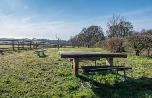 Lily Pad, Friston - Foto 4