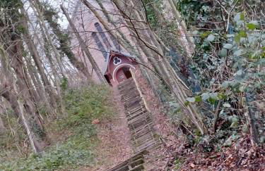 LE CISE EAU À bois - Foto 28