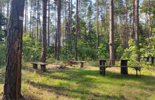 domki przy lipowej 14 - Foto 23