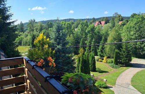 Agroturystyka Jagodowa Róża - Maria Farganus - Foto 74