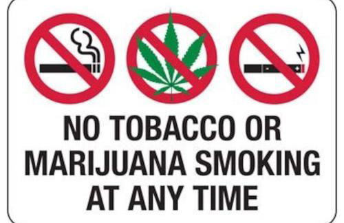 Peacock 2 in Fort Lauderdale - Foto 42