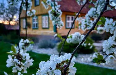 Żuławska Chata - Foto 15