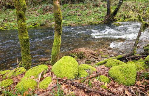 CHALÉ, Pedra, Isolada, Natureza, Rio - Ecoturismo - Foto 24