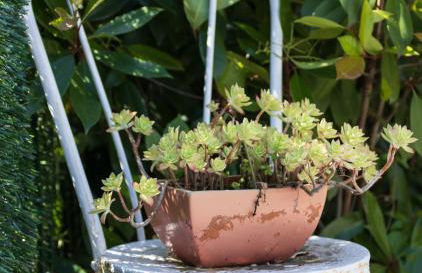 APPARTAMENTO STELLA - Foto 35