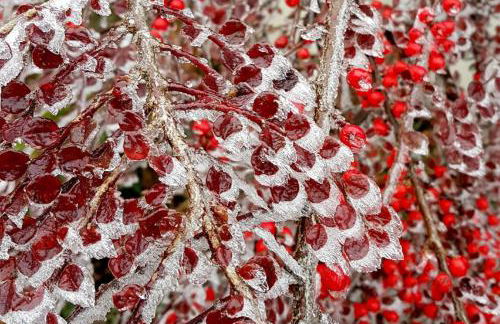 Ferienhaus Mauth - Photo 129