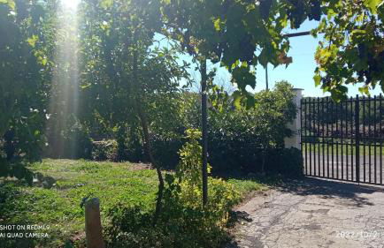 Etna, salvia e rosmarino - Foto 11