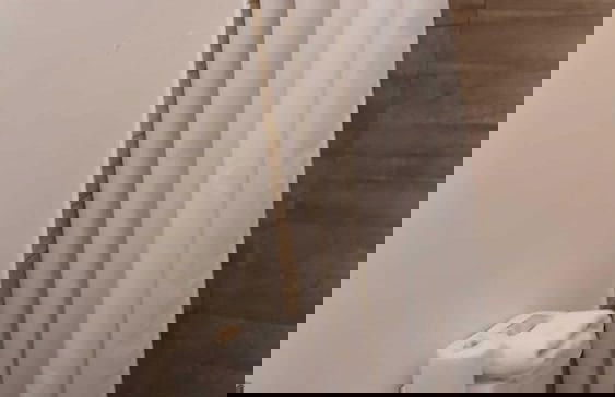 Gladiolas 1103 - Foto 9