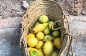 Encantadora Casita en el Centro de Fornalutx - Foto 22