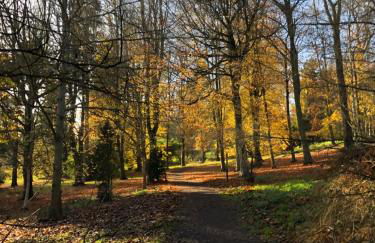 Myrtleberry Studio BnB - Foto 44