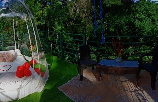 Green Jungle House - Photo 6