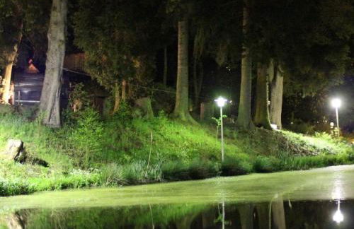 Schneeweischen, coach house by the pond - Foto 18