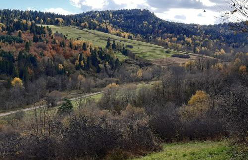 Chata pod wyciągiem - Foto 73