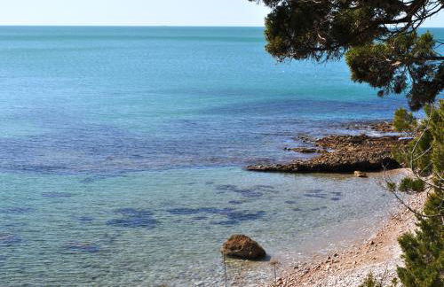 Tenuta Agricola dell'Uccellina - Foto 18