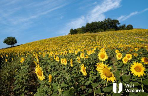 Tenuta i Lecci di Gurian Roberta Maura - Foto 65