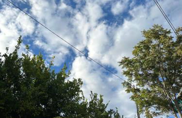 Casa Do Refugio Guest House - Foto 41