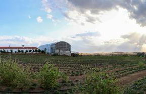 Monte de Palma- Quinta Biodinâmica Momentos Únicos - Foto 6