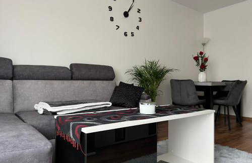 APARTAMENT CENTRUM - Foto 47