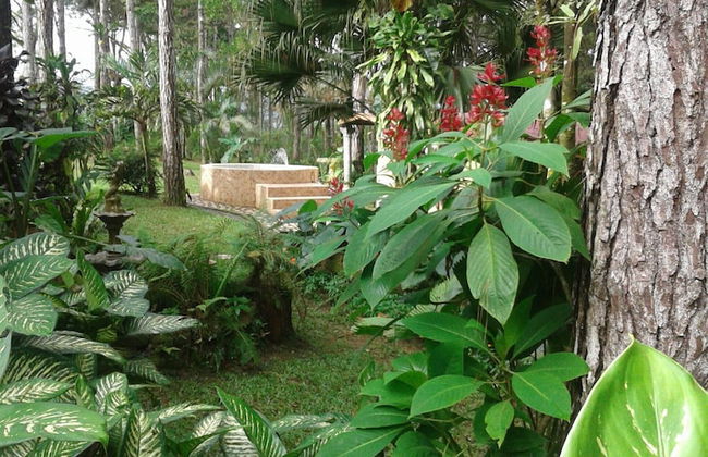 El Nido Cerro Azul - Foto 51