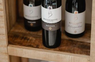 Idyllisches Apartment mit exklusivem Whirlpool - Foto 39