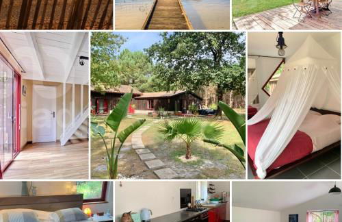 House de la Canopée, Swimming pool, Lake, Forest, large garden and WIFI - Foto 13