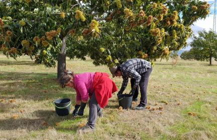 Casa de Campo - Vila Boa - Foto 20