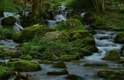 Ferienwohnung Schwalbennest - Foto 33