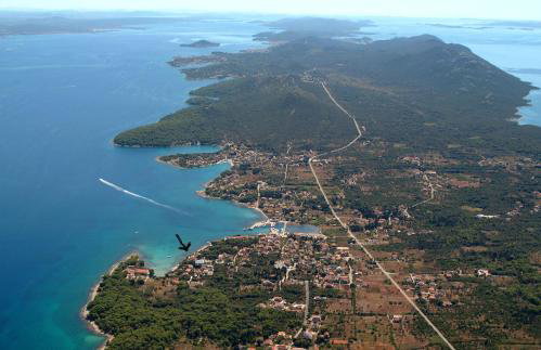 Apartment Sajković - Foto 38