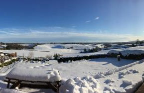 Betula Views - Photo 31