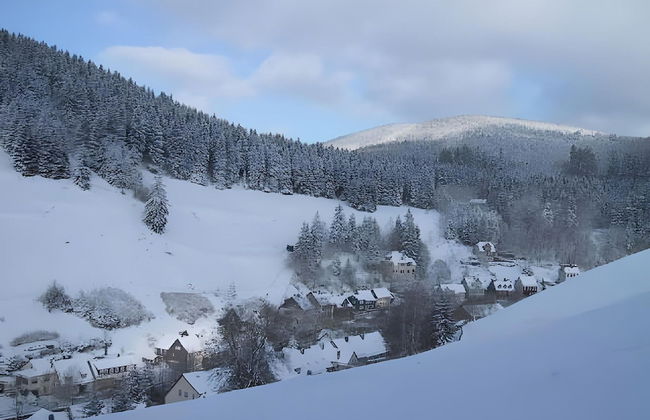 Sonniges Dachgeschoss-refugium, Wildemann - Foto 18