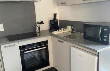 Ampuis centre - Appartement indépendant - Foto 1