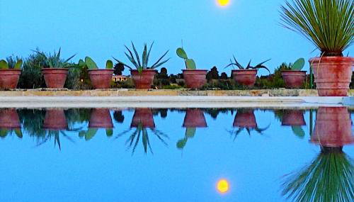 La Trottoria Agriturismo - Foto 5