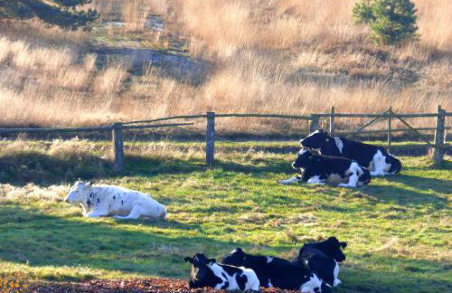 Fewo-Mundi - Foto 35