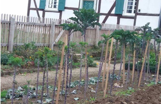 Lovely Apartment in Extertal - Foto 18