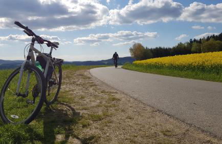 Ferienwohnung Hillig - Foto 36
