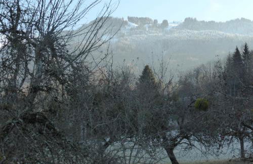 studio Morillon village - Photo 12