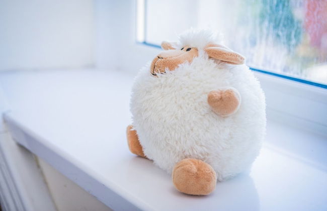 James Place @ Dowlais - Foto 2