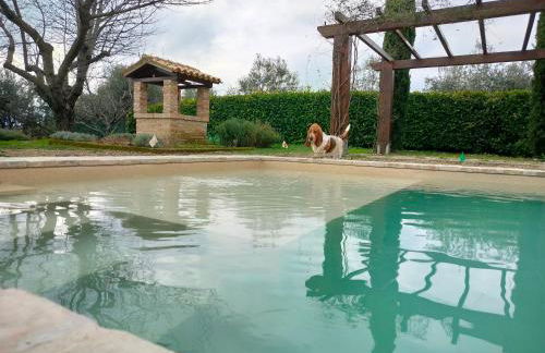Ca' le cerque, villa surrounded by the Marche nature - Foto 34