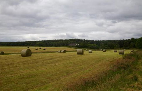 Clashmore Wood - Foto 20