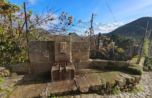 Casa da quelha- Arnozelo (Alto Douro Vinhateiro) - Foto 11