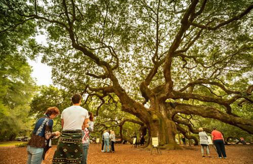 Amplia casa rural ideal para familias y grupos - Foto 43