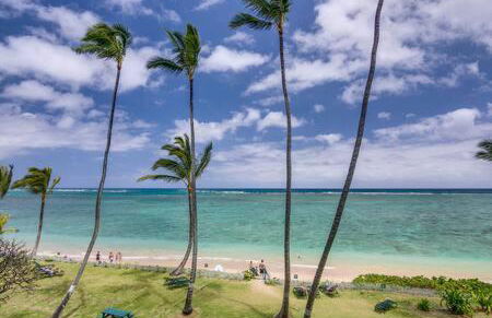 Amazing Beachfront Condo with AC - Photo 23