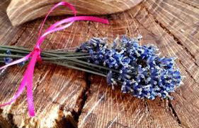 Ferienwohnung Sonnenplatzl - Foto 12