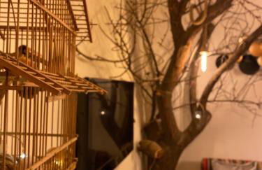 Finca Las Fuentezuelas - Foto 24