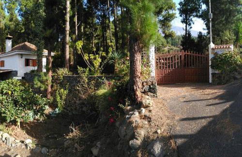 Floral garden house - Foto 25