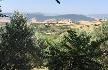 Terrace house ! - Photo 43