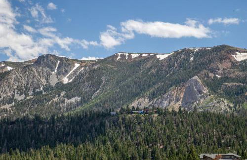 Ski in/Out 1B/1BA w/ View - Pool, Jacuzzi, Parking - Foto 24