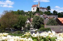 Ferienhaus Sylvia beim Waldrand - Foto 24