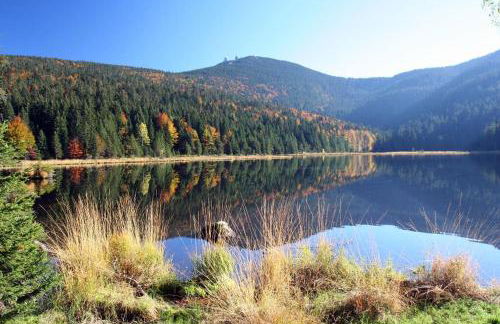Ferienwohnung "Woidliebe" - Foto 12