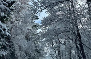 Healing Pastures Farm - Foto 35