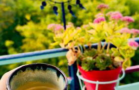 Canopée, paisible, chaleureux, lumineux, balcon - Foto 22